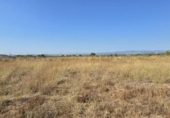 Terreno no urbanizable en venta en la España, Llíria, ref: TR416823 foto