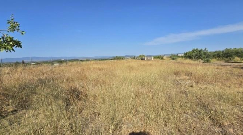 València - Llíria - 7340m2