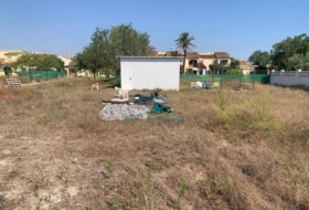Oliva 727&nbsp;m²