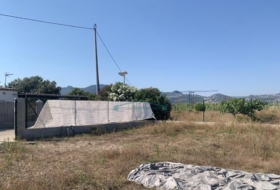 Oliva 727&nbsp;m²