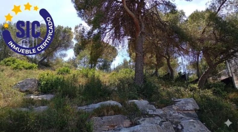 Valencia - Cullera - 778m2