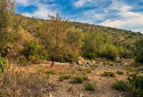 Alcalalí 1077&nbsp;m²