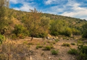 Urban land for sale on España, Alcalalí, ref: TR417648 photo