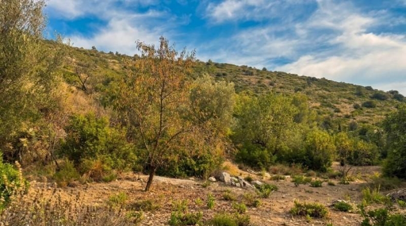 Alicante - Alcalalí - 1077m2