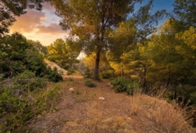 Benissa 826&nbsp;m²