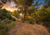Suelo urbano en venta en la España, Benissa, ref: TR417652 foto