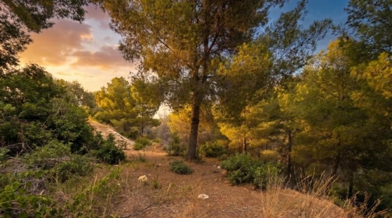 Alicante - Benissa - 826m2