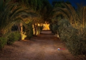 Casa de camp amb terreny en venda a la España, Puebla de Obando, ref.: TR314663 foto