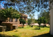Casa de camp amb terreny en venda a la España, Puebla de Obando, ref.: TR314663 foto