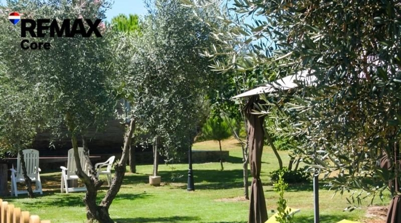 Badajoz - Puebla de Obando - 12000m2