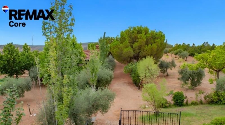Badajoz - Puebla de Obando - 12000m2