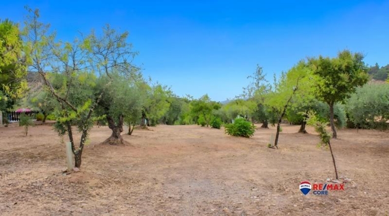 Badajoz - Puebla de Obando - 12000m2