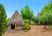 Casa de camp amb terreny en venda a la España, Puebla de Obando, ref.: TR314663 foto