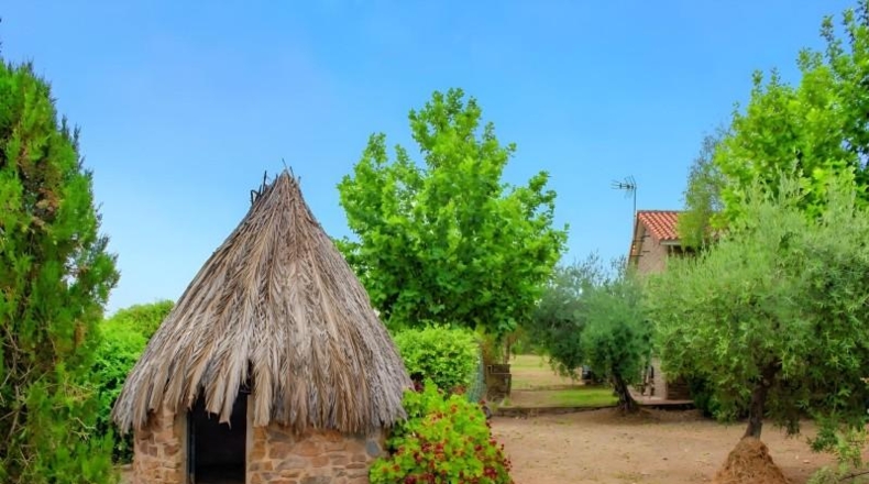 Badajoz - Puebla de Obando - 12000m2