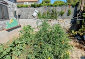 Chalet independiente con terreno en venta en la España, l'Ametlla de Mar, ref: TR265804 foto