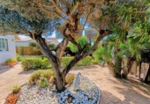Chalet independiente con terreno en venta en la España, l'Ametlla de Mar, ref: TR265804 foto