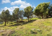Городская земля под застройку на продажу у города Torrelodones Фото