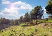 Городская земля под застройку на продажу у города Torrelodones Фото