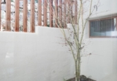 Detached villa with land for sale on España, Alfauir, ref: TR380619 photo