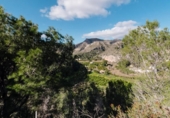 Detached villa with land for sale on España, Alfauir, ref: TR380619 photo