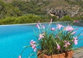 Detached villa with land for sale on España, Alfauir, ref: TR380619 photo