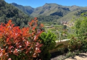 Detached villa with land for sale on España, Alfauir, ref: TR380619 photo