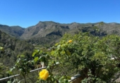 Detached villa with land for sale on España, Alfauir, ref: TR380619 photo