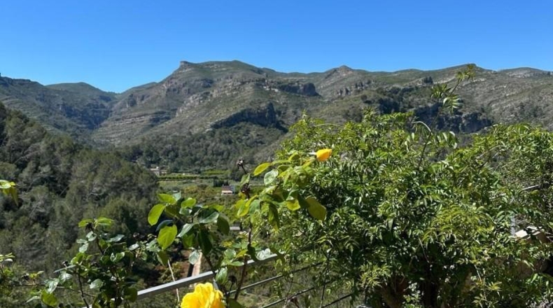 Valencia - Rótova - 1346m2