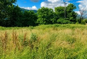 Gajano 6791&nbsp;m² 