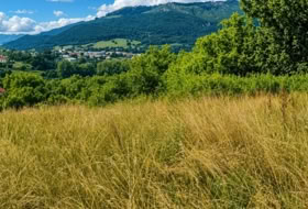 Gajano 6791&nbsp;m² 
