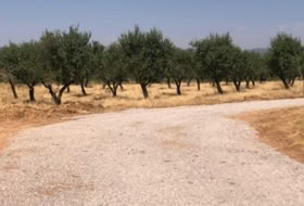 Aiora 40000&nbsp;m² 