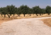 Parcel·la urbanitzable en venda a la INDUSTRIAL ESTATE 5, Aiora, ref.: TR417661 foto