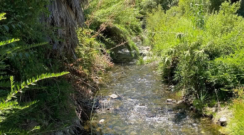 Málaga - Alpandeire - 26000m2