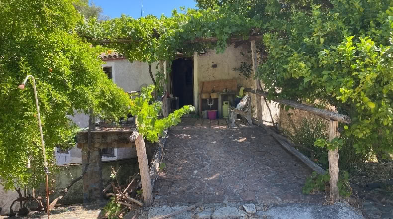 Málaga - Alpandeire - 26000m2
