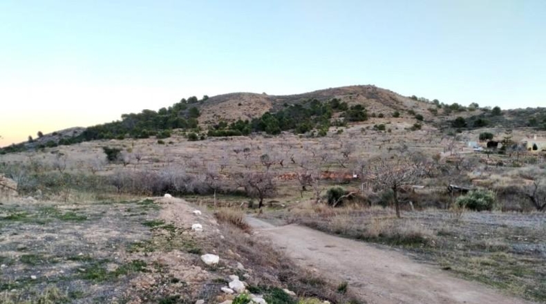 Múrcia - Cartagena - 19000m2