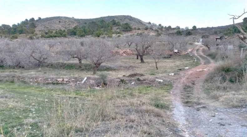 Múrcia - Cartagena - 19000m2