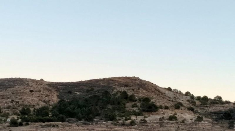 Múrcia - Cartagena - 19000m2