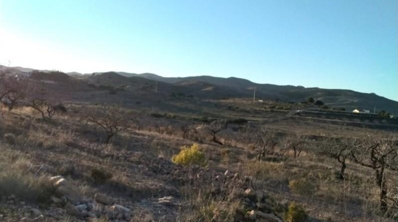 Múrcia - Cartagena - 19000m2