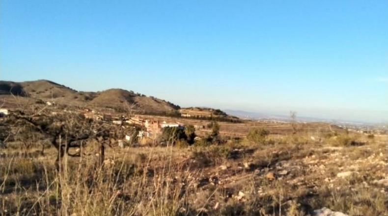 Múrcia - Cartagena - 19000m2