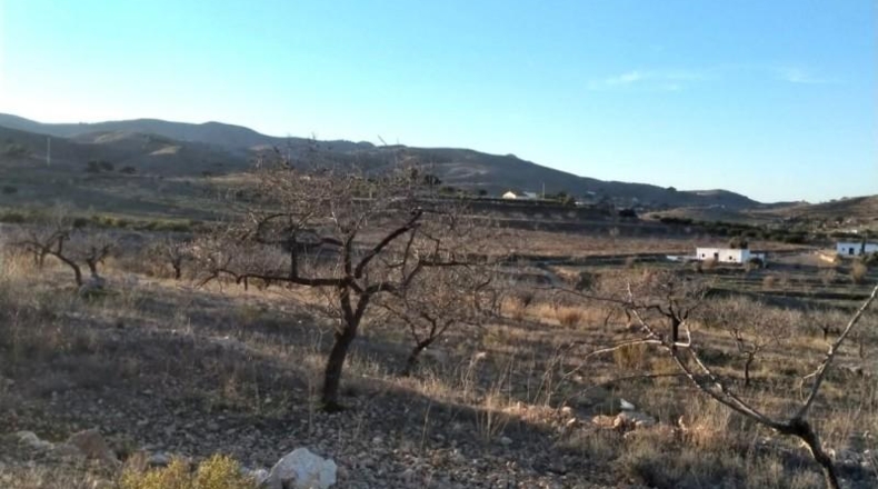 Múrcia - Cartagena - 19000m2