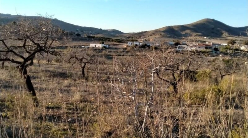 Múrcia - Cartagena - 19000m2