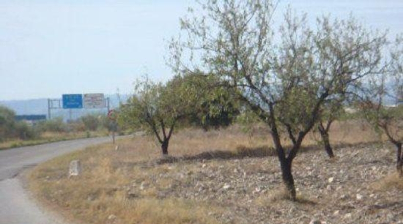 Almería - Huércal-Overa - 5000m2