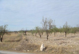 Huércal-Overa 5000&nbsp;м²