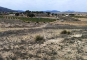 Terreny no urbanitzable en venda a la España, el Pinós, ref.: TR236952 foto