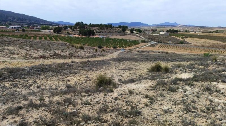 Alicante - Pinoso - 11720m2
