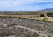 Terreny no urbanitzable en venda a la España, el Pinós, ref.: TR236952 foto