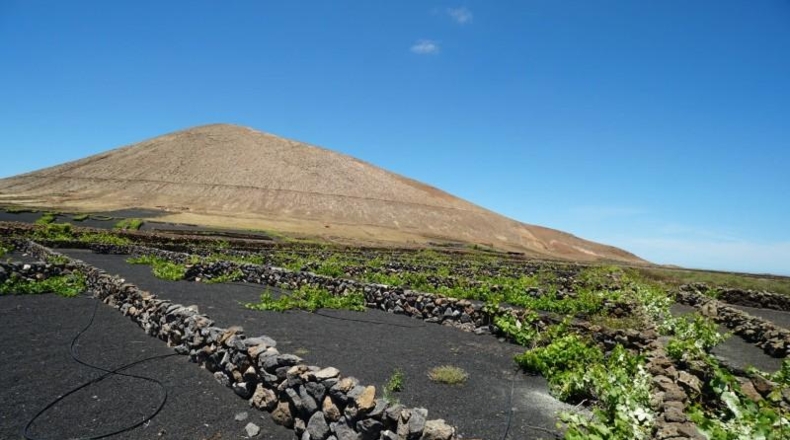 Las Palmas - Tinajo - 1476m2