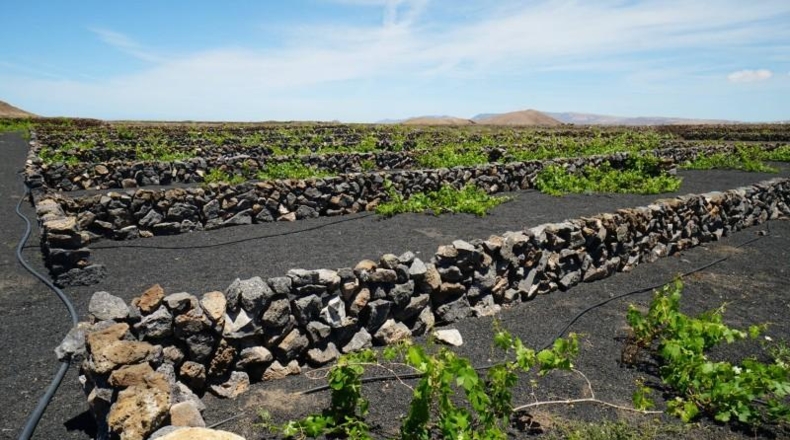 Las Palmas - Tinajo - 1476m2