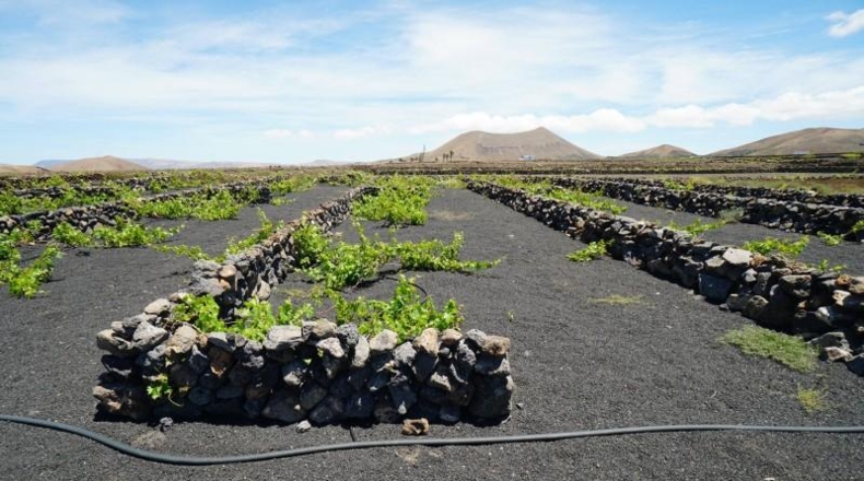 Las Palmas - Tinajo - 1476m2