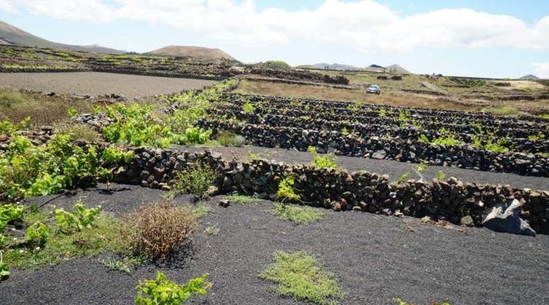 Las Palmas - Tinajo - 1476m2